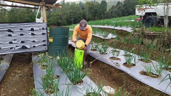 Petani di Temanggung